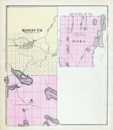 Kossuth, Pleasant Lake, Washington County 1881